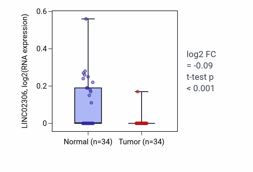 Tumor-vs-normal expression box plot for LINC02306 in KIRC.