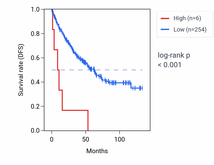 Kaplan&ndash;Meier survival curve for LINC02307 RNA expression in KIRC: high vs low expression groups.