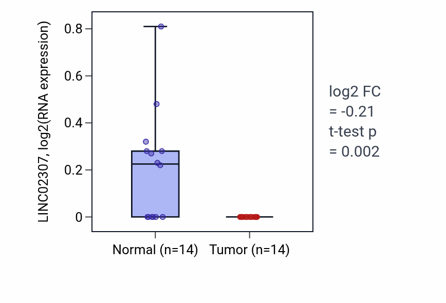 Tumor-vs-normal expression box plot for LINC02307 in THCA.
