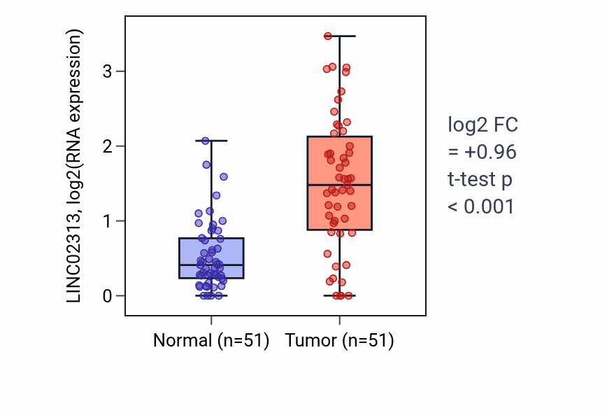 Tumor-vs-normal expression box plot for LINC02313 in KIRC.