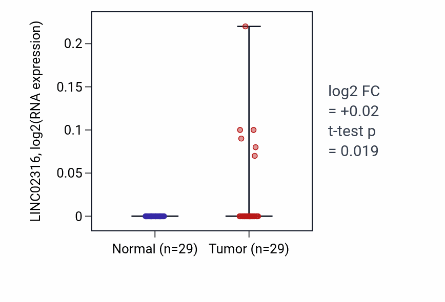 Tumor-vs-normal expression box plot for LINC02316 in HNSC.