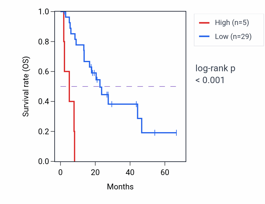 Kaplan&ndash;Meier survival curve for LINC02317 RNA expression in BLCA: high vs low expression groups.