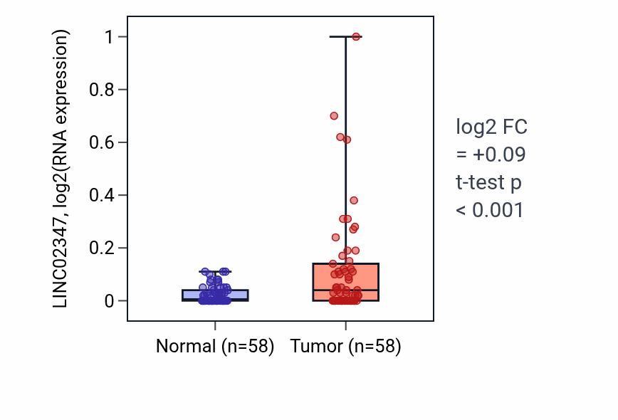 Tumor-vs-normal expression box plot for LINC02347 in THCA.