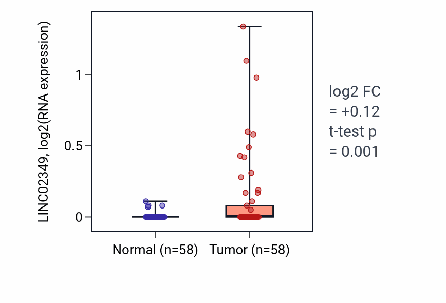 Tumor-vs-normal expression box plot for LINC02349 in THCA.