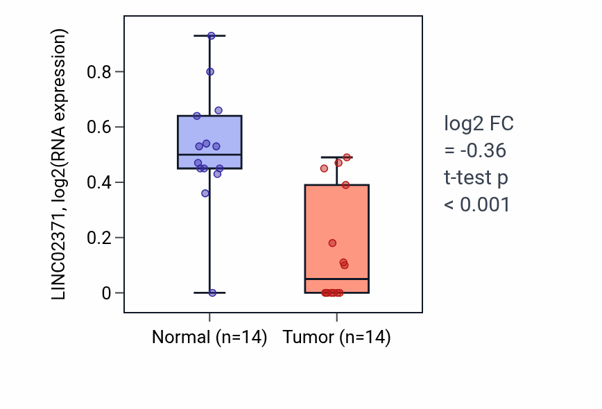 Tumor-vs-normal expression box plot for LINC02371 in THCA.