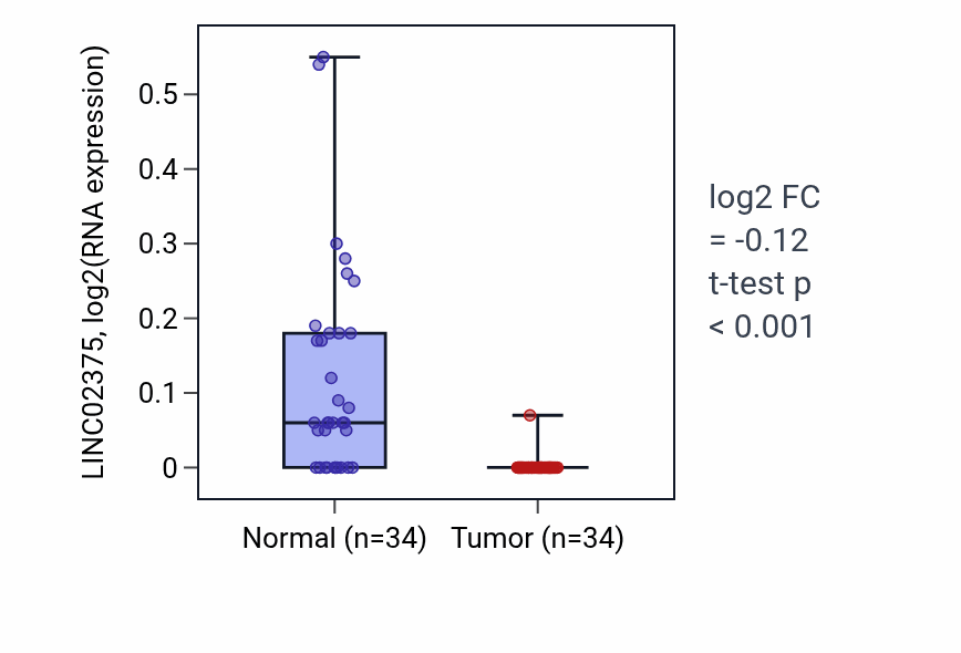 Tumor-vs-normal expression box plot for LINC02375 in KIRC.
