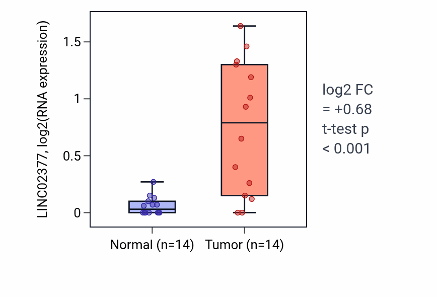 Tumor-vs-normal expression box plot for LINC02377 in HNSC.