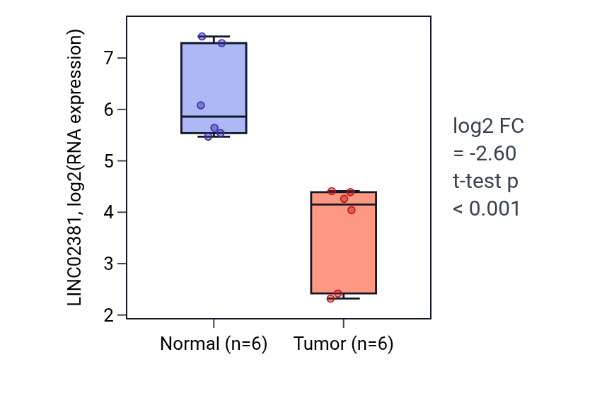Tumor-vs-normal expression box plot for LINC02381 in KIRC.