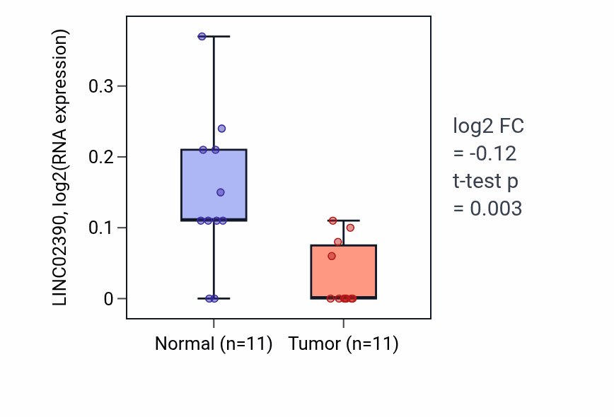 Tumor-vs-normal expression box plot for LINC02390 in KICH.