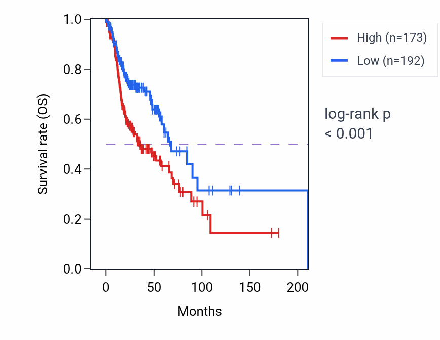 Kaplan&ndash;Meier survival curve for LINC02392 RNA expression in HNSC: high vs low expression groups.