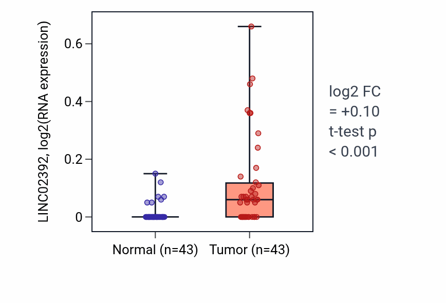 Tumor-vs-normal expression box plot for LINC02392 in HNSC.