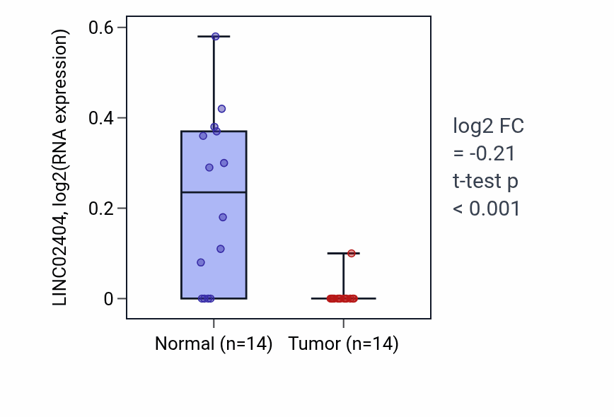 Tumor-vs-normal expression box plot for LINC02404 in KIRC.