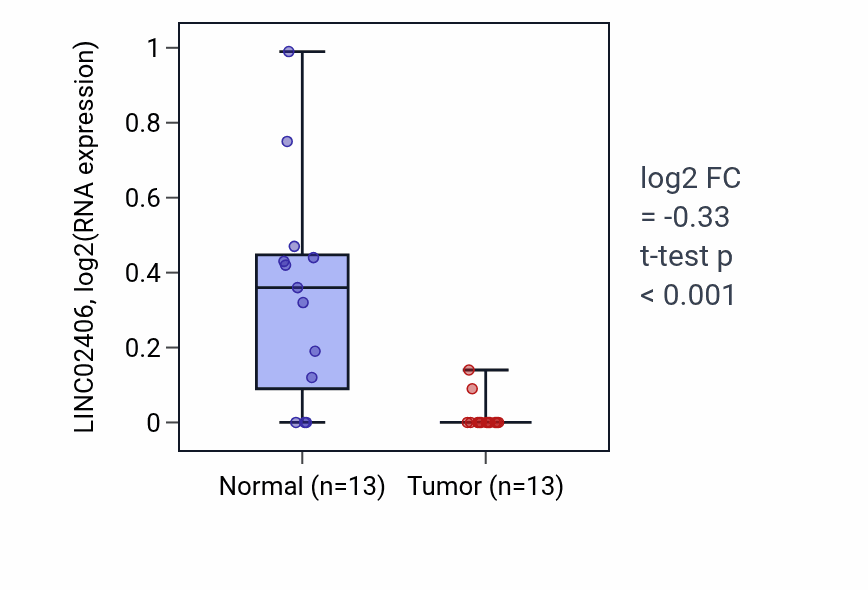 Tumor-vs-normal expression box plot for LINC02406 in KIRC.