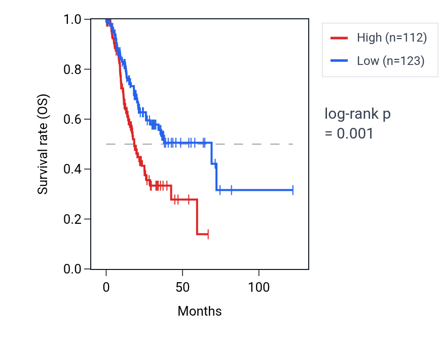 Kaplan&ndash;Meier survival curve for LINC02408 RNA expression in STAD: high vs low expression groups.