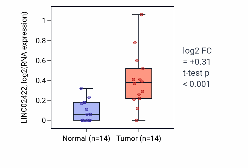 Tumor-vs-normal expression box plot for LINC02422 in KIRC.
