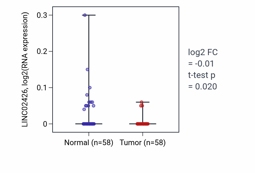 Tumor-vs-normal expression box plot for LINC02426 in THCA.