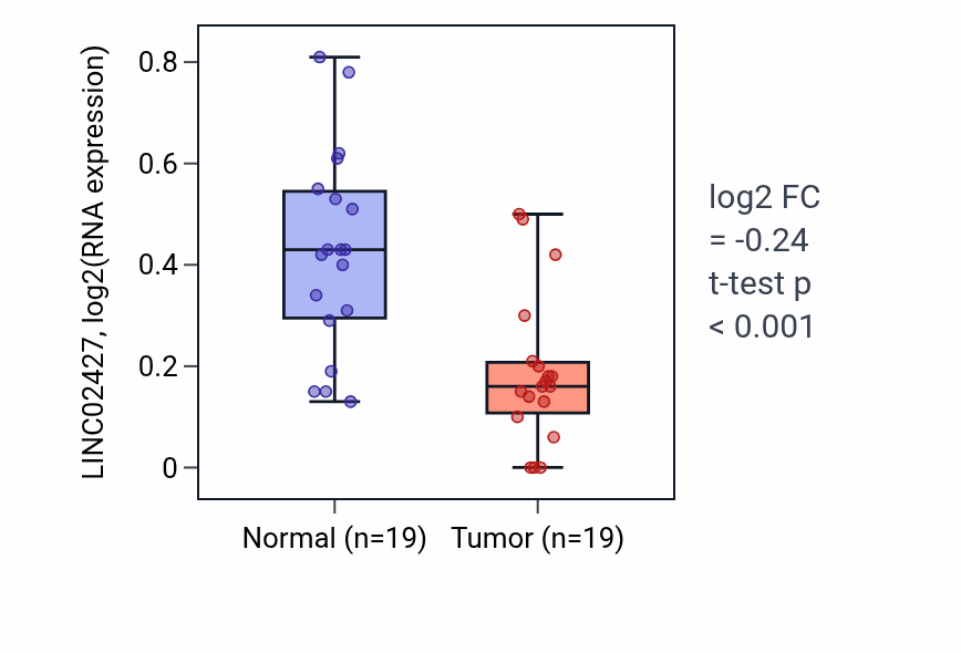 Tumor-vs-normal expression box plot for LINC02427 in COAD.
