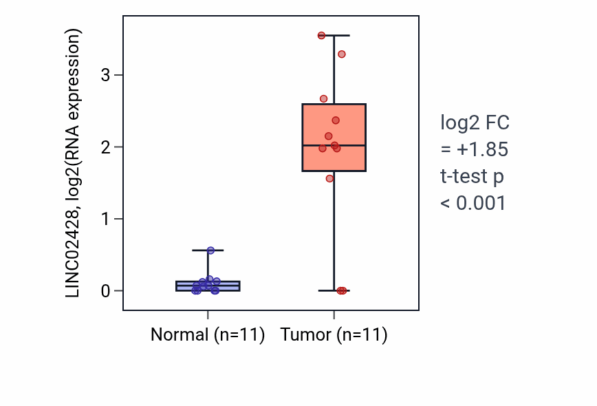 Tumor-vs-normal expression box plot for LINC02428 RNA in HNSC.