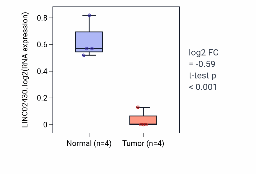 Tumor-vs-normal expression box plot for LINC02430 in THCA.