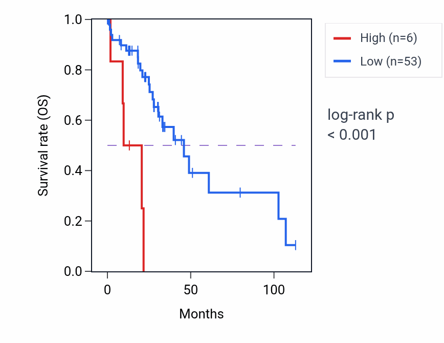Kaplan&ndash;Meier survival curve for LINC02433 RNA expression in LIHC: high vs low expression groups.