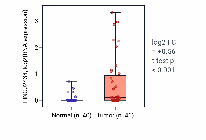 Tumor-vs-normal expression box plot for LINC02434 in HNSC.
