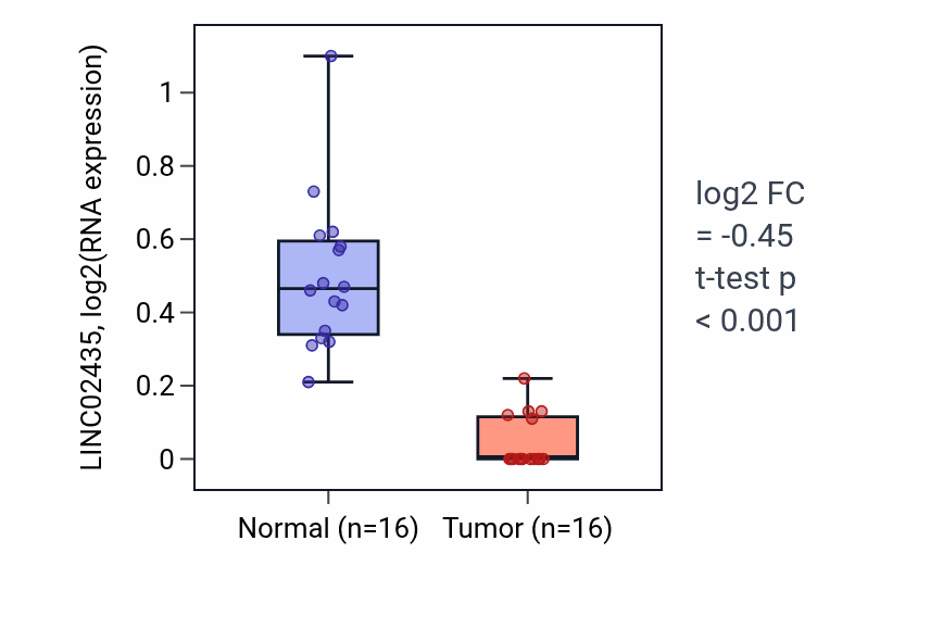 Tumor-vs-normal expression box plot for LINC02435 RNA in LUSC.