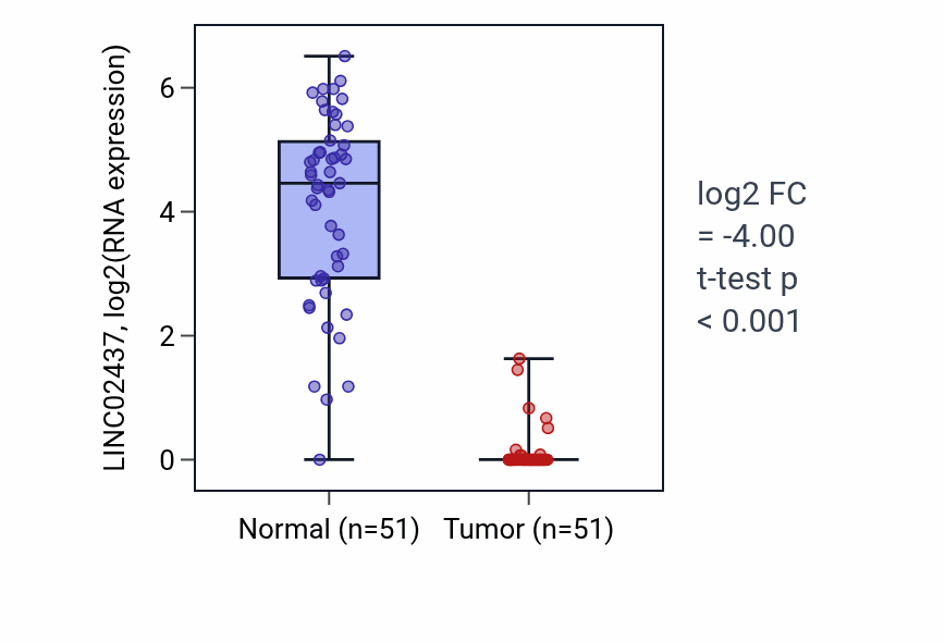 Tumor-vs-normal expression box plot for LINC02437 in KIRC.