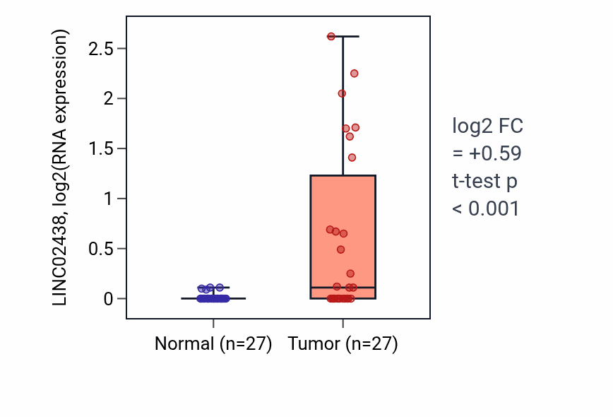 Tumor-vs-normal expression box plot for LINC02438 in HNSC.
