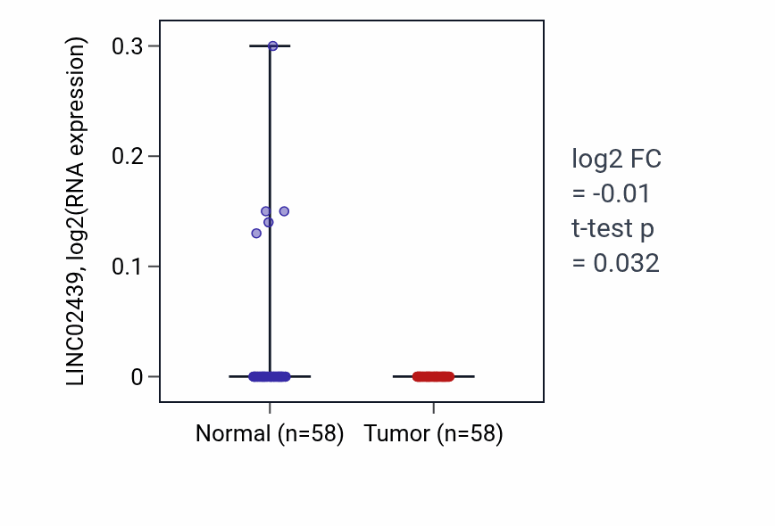 Tumor-vs-normal expression box plot for LINC02439 in THCA.