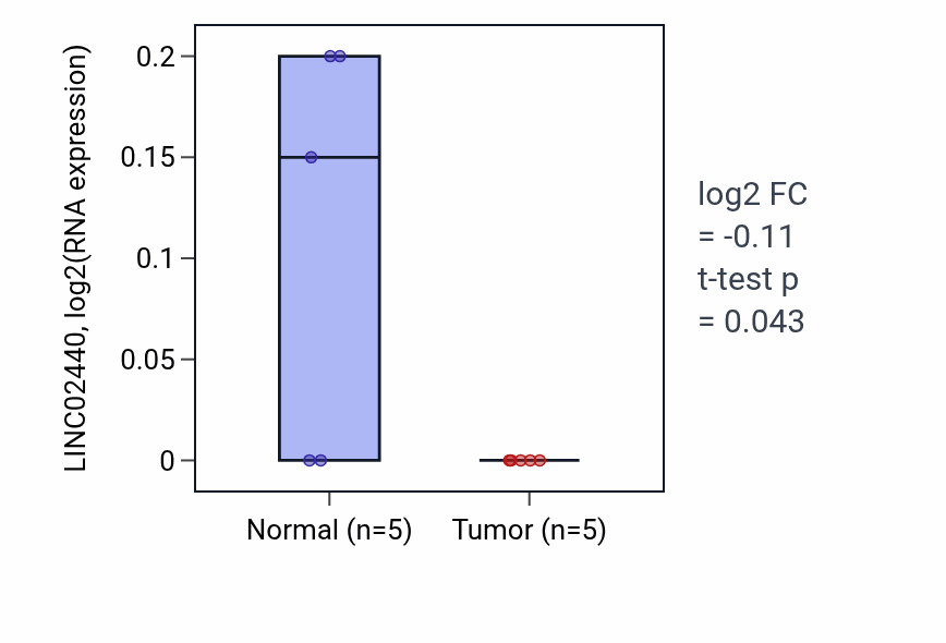 Tumor-vs-normal expression box plot for LINC02440 in READ.