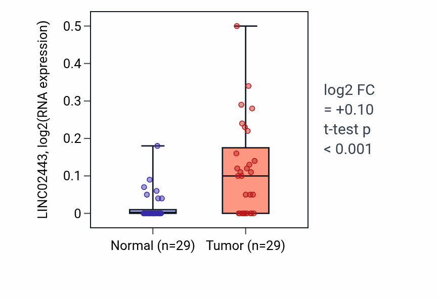 Tumor-vs-normal expression box plot for LINC02443 in HNSC.
