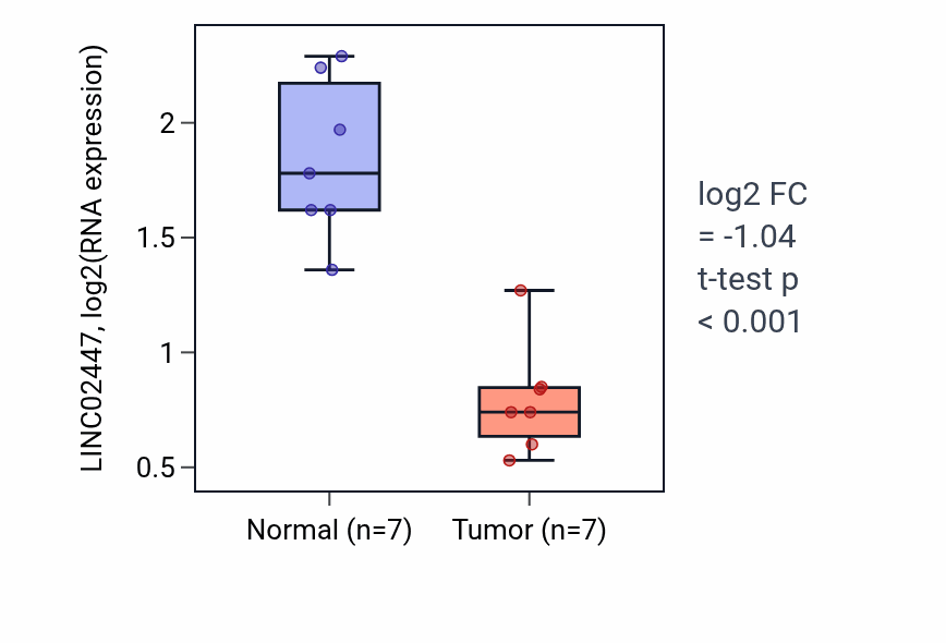 Tumor-vs-normal expression box plot for LINC02447 in THCA.