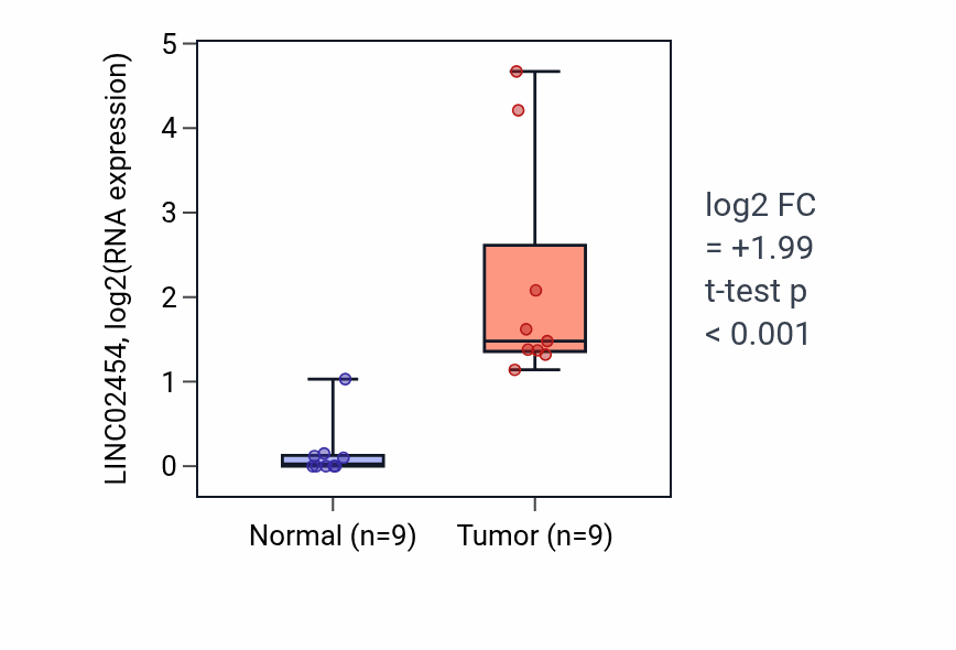 Tumor-vs-normal expression box plot for LINC02454 in HNSC.