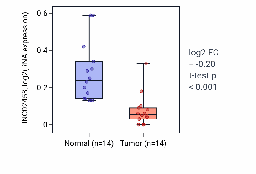 Tumor-vs-normal expression box plot for LINC02458 in LUSC.