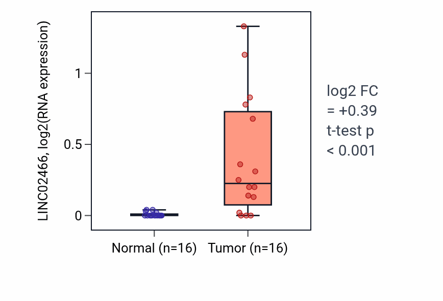Tumor-vs-normal expression box plot for LINC02466 in HNSC.