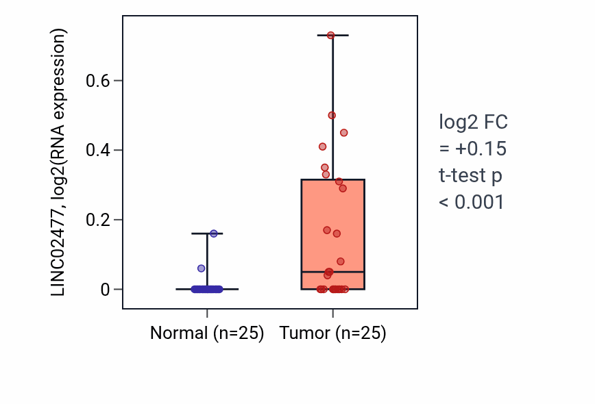 Tumor-vs-normal expression box plot for LINC02477 in HNSC.