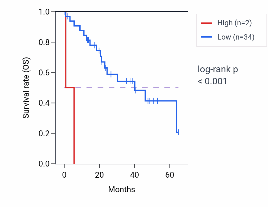 Kaplan&ndash;Meier survival curve for LINC02480 RNA expression in CHOL: high vs low expression groups.