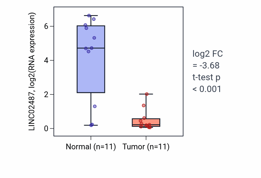 Tumor-vs-normal expression box plot for LINC02487 in HNSC.
