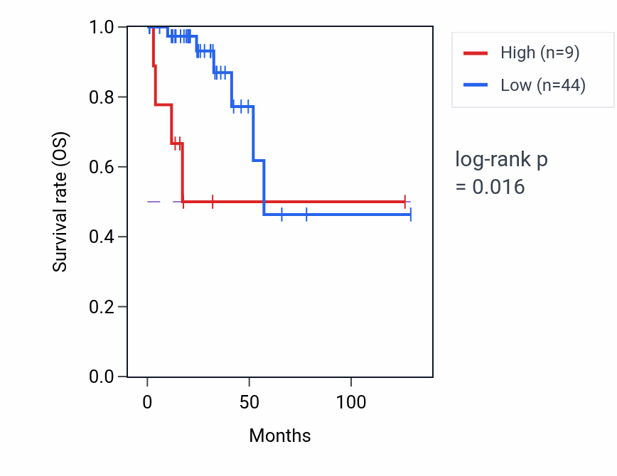 Kaplan&ndash;Meier survival curve for LINC02506 RNA expression in READ: high vs low expression groups.