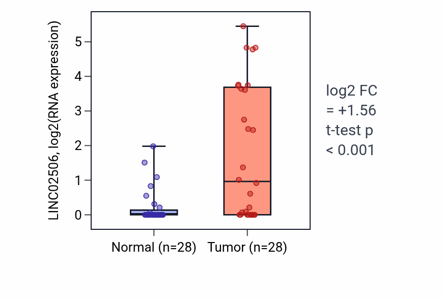 Tumor-vs-normal expression box plot for LINC02506 in LIHC.