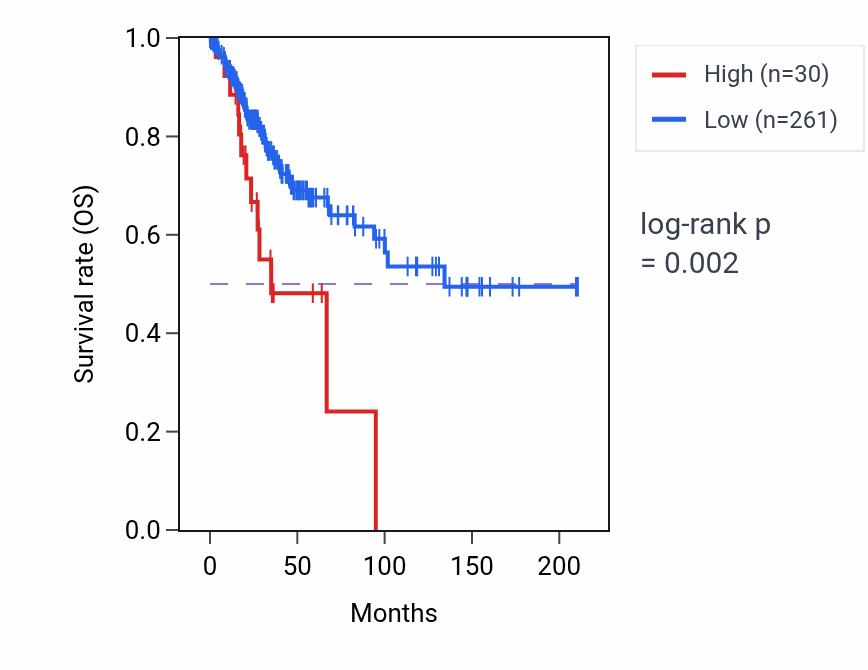 Kaplan&ndash;Meier survival curve for LINC02511 RNA expression in CESC: high vs low expression groups.