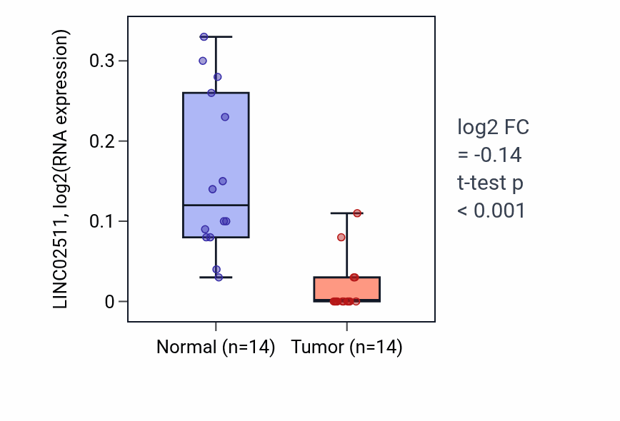 Tumor-vs-normal expression box plot for LINC02511 in THCA.