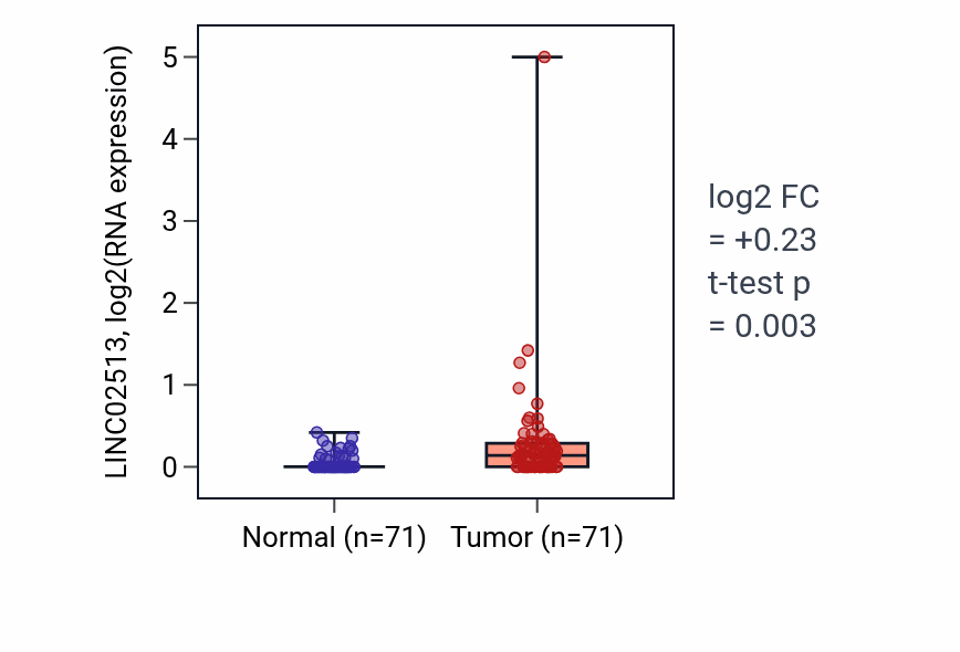 Tumor-vs-normal expression box plot for LINC02513 in KIRC.