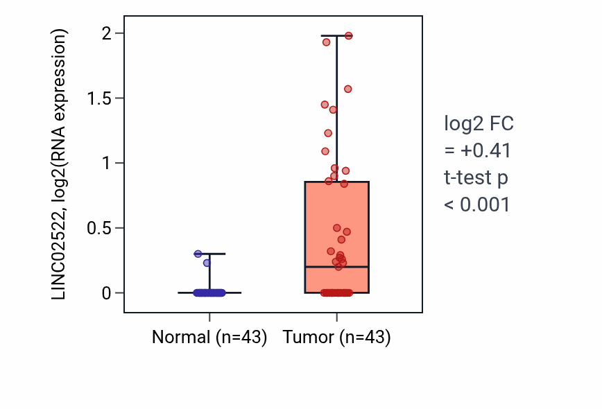 Tumor-vs-normal expression box plot for LINC02522 in HNSC.