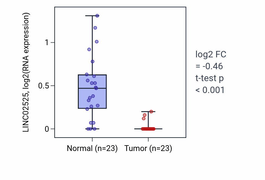 Tumor-vs-normal expression box plot for LINC02525 in UCEC.