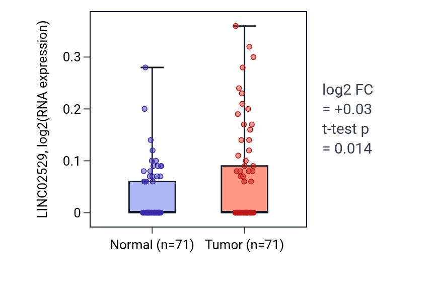 Tumor-vs-normal expression box plot for LINC02529 in KIRC.