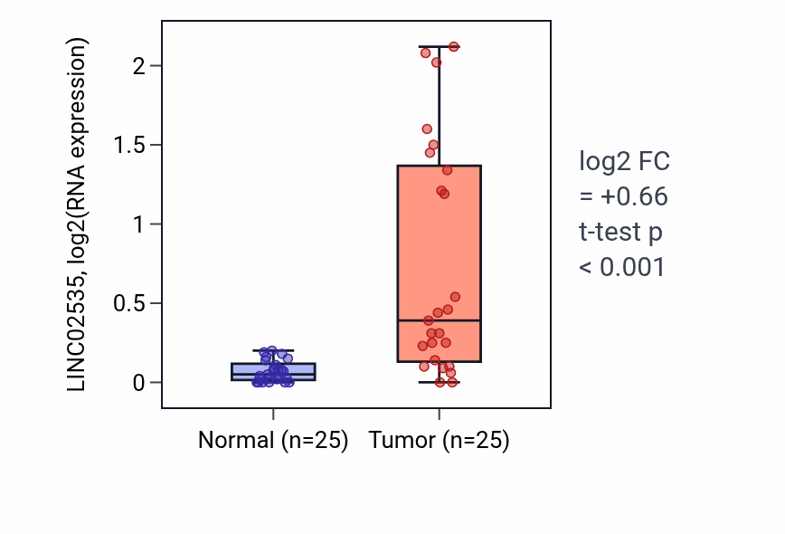 Tumor-vs-normal expression box plot for LINC02535 in HNSC.