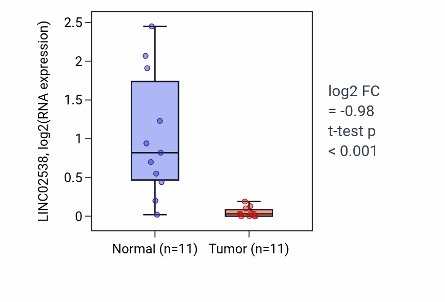 Tumor-vs-normal expression box plot for LINC02538 in HNSC.