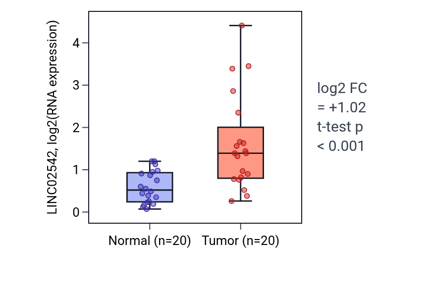 Tumor-vs-normal expression box plot for LINC02542 in KIRC.