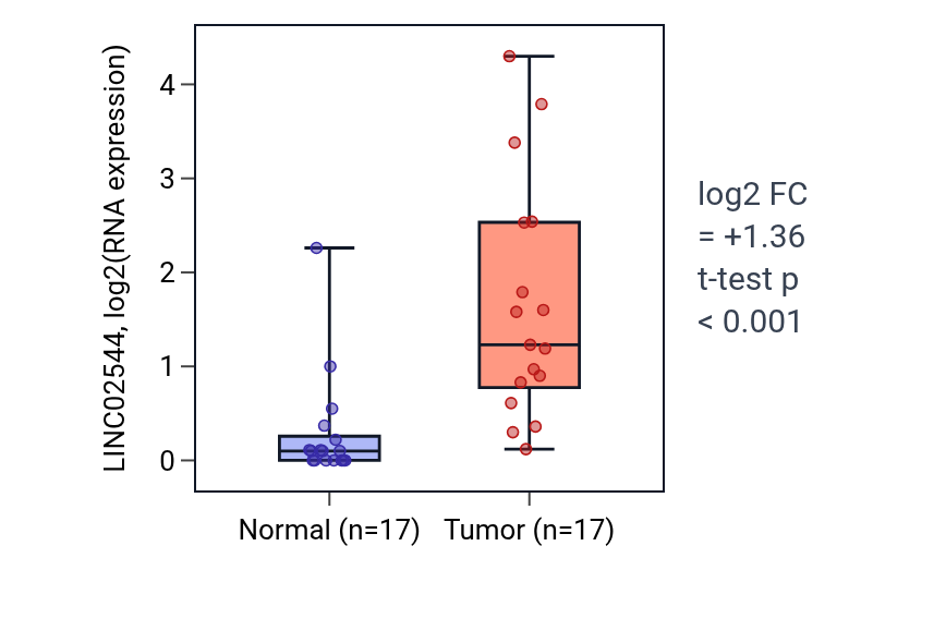 Tumor-vs-normal expression box plot for LINC02544 in HNSC.